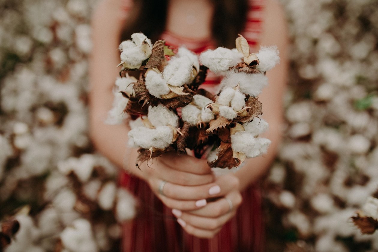 Egyptian Cotton Apparel: 7 Reasons Premium Cotton Boosts Your Brand